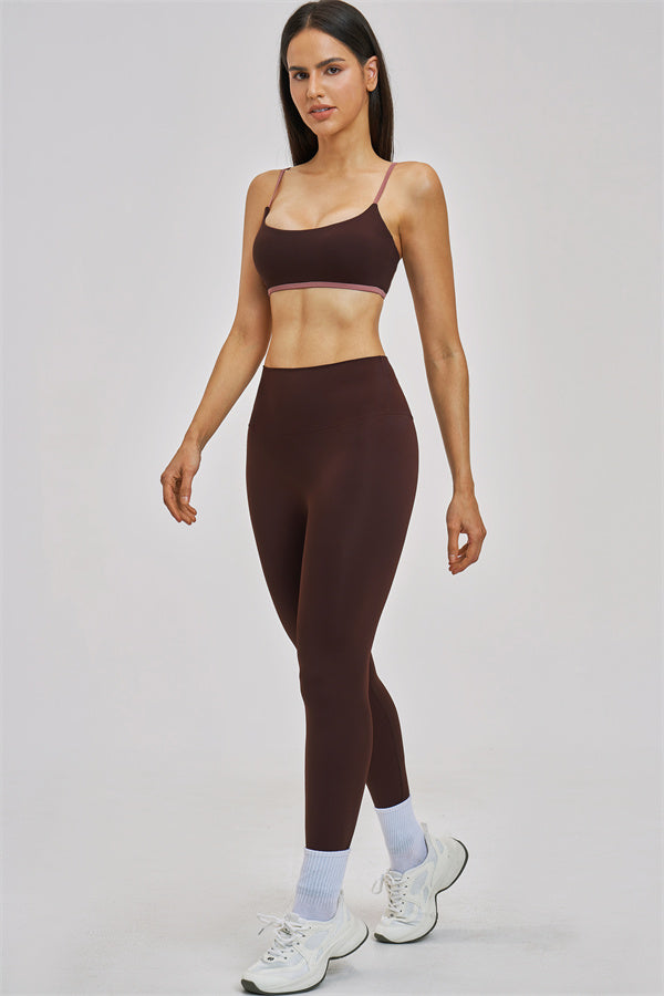 The New Seraphine Sports Bra