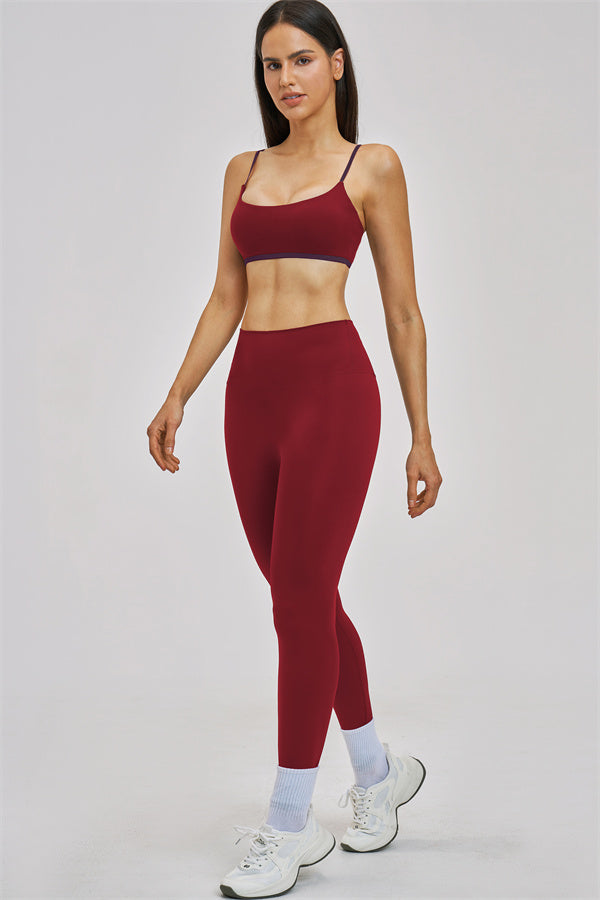 The New Seraphine Sports Bra