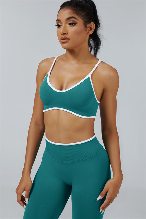 The Elevate Sports Bra Leggings 2-Piece Set