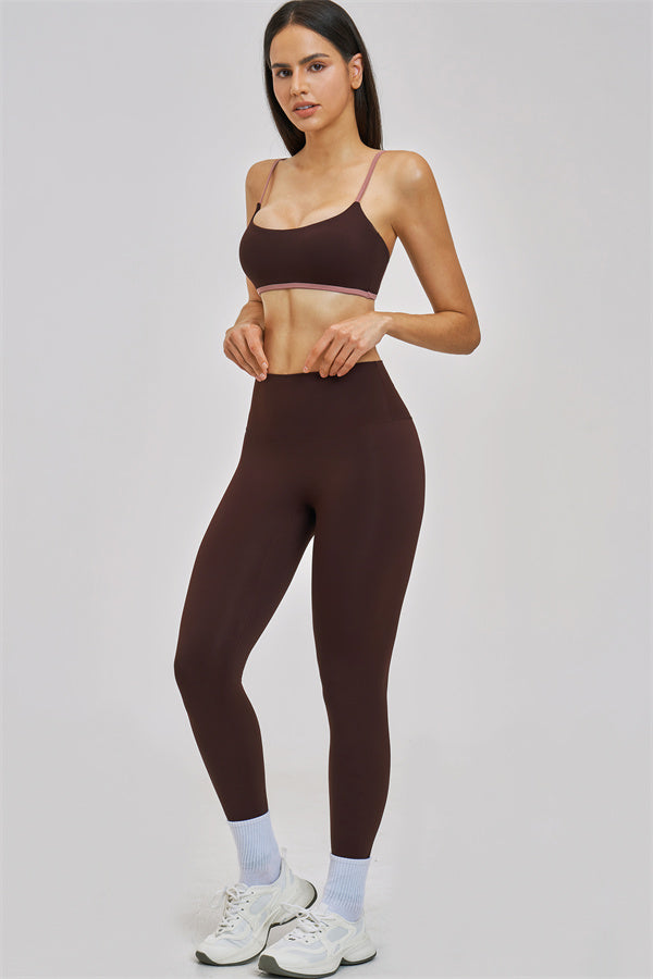 The New Seraphine Sports Bra